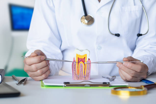 Best Mobile Emergency Dentist in Daingerfield, TX
